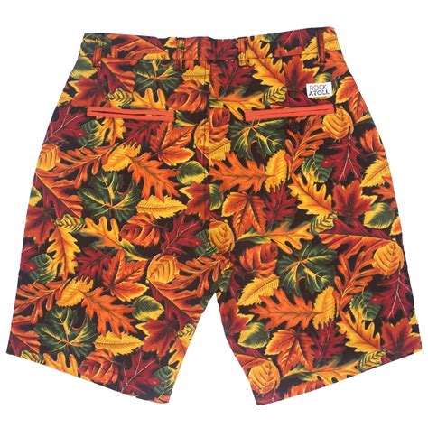 chicago specific shorts for fall.